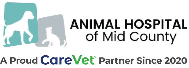 Animal Hospital Logo